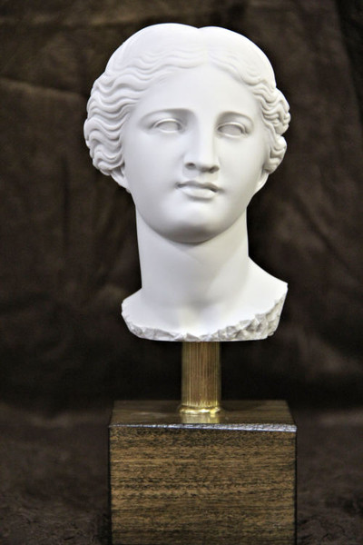 Aphrodite Venus Roman Goddess Bust Marble Greek Head sculpture